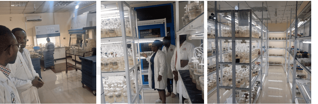 Strengthening Agricultural Innovation Through Institutional Learning and Stakeholder Engagement